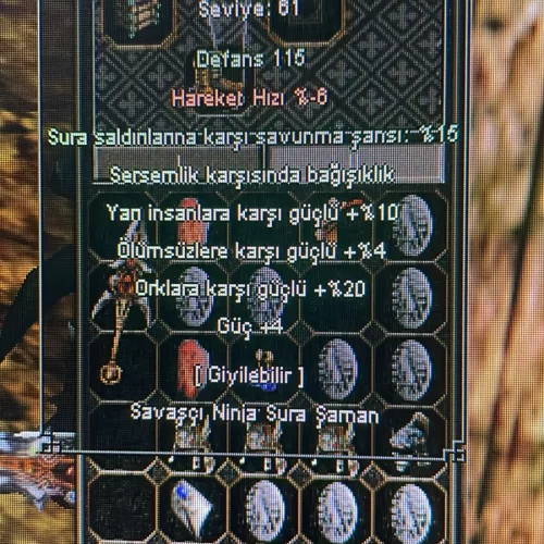 +8 ASLAN AĞZI KALKAN WSLİK